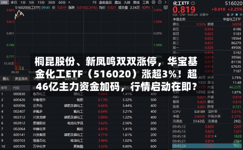 桐昆股份、新凤鸣双双涨停，华宝基金化工ETF（516020）涨超3%！超46亿主力资金加码	，行情启动在即？-第2张图片