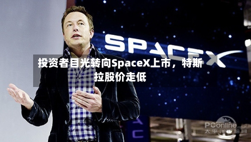 投资者目光转向SpaceX上市	，特斯拉股价走低-第2张图片