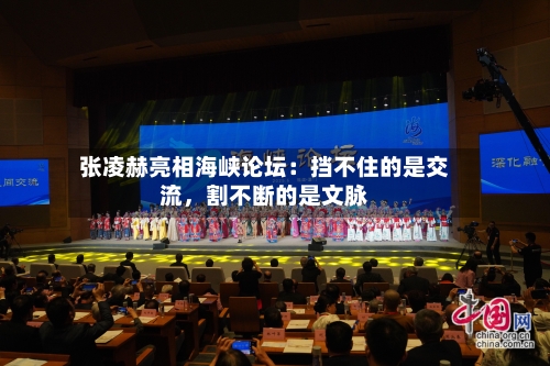 张凌赫亮相海峡论坛：挡不住的是交流，割不断的是文脉-第3张图片