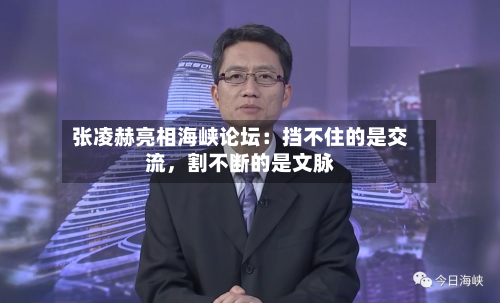 张凌赫亮相海峡论坛：挡不住的是交流，割不断的是文脉-第2张图片