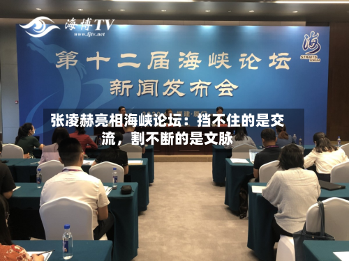 张凌赫亮相海峡论坛:挡不住的是交流,割不断的是文脉