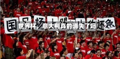 世界杯	，意大利真的消失了吗？-第2张图片