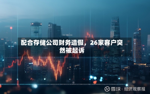 配合存储公司财务造假，26家客户突然被起诉-第2张图片