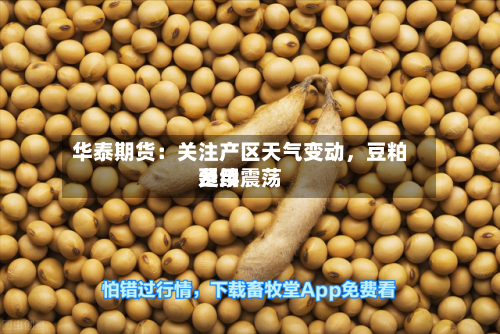 华泰期货：关注产区天气变动	，豆粕费用延续震荡-第2张图片