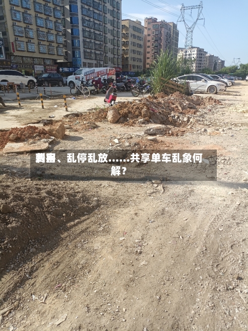 费用
刺客、乱停乱放……共享单车乱象何解?